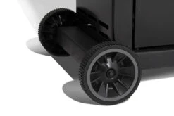 Broil King Royal 320 Gasgrill - Modell 2023 12 Broil King Royal 320 Gasgrill - Modell 2023 -Angebote Grillgarten Store 16952 Broil King Royal 824263 ROYAL FEAT 4 1607697600