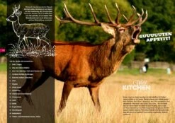 Don Marcos Wild Kitchen 1.0 - Das Buch Zum Gewürz -Angebote Grillgarten Store 19383 Don Marcos Barbecue Wild Kitchen P 8 1558084592