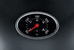 Severin Elektrogrill - Standgrill Mit Grillplatte Und Haube - 2.000 W -Angebote Grillgarten Store 21547 severin pg8541 barbecue elektrogri 6 1590737833