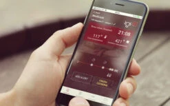 Big Green Egg CookPerfect Wireless Grillthermometer -Angebote Grillgarten Store Big Green Egg CookPerfect Wireless App