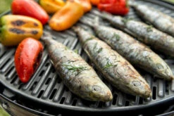 CADAC Camping Gasgrill Grillo Chef 40 / BBQ + Dome - 30 Mbar -Angebote Grillgarten Store CADAC Gasgrill Grillo Chef 40 Grillrost 2