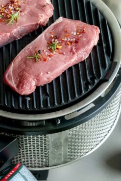 Cobb Grill Premier Gas Deluxe 2.0 - Gasgrill - Kartuschenanschluss - Modell 2023 15 Cobb Grill Premier Gas Deluxe 2.0 - Gasgrill - Kartuschenanschluss - Modell 2023 -Angebote Grillgarten Store Cobb Grasgrill Premier Deluxe 2 Griddle Grillplatte