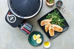 Cobb Grill Premier Gas Deluxe 2.0 - Gasgrill - Kartuschenanschluss - Modell 2023 14 Cobb Grill Premier Gas Deluxe 2.0 - Gasgrill - Kartuschenanschluss - Modell 2023 -Angebote Grillgarten Store Cobb Grill Premier Gas Deluxe 2 0 Grillplatte