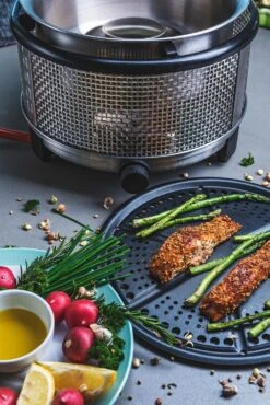 Cobb Grill Premier+ Gas Deluxe Gasgrill 30mbar - Modell 2023 17 Cobb Grill Premier+ Gas Deluxe Gasgrill 30mbar - Modell 2023 -Angebote Grillgarten Store Cobb Grill Premier Plus Gas Deluxe Griddle