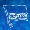 Grillfürst Grillschürze - Hertha BSC Edition