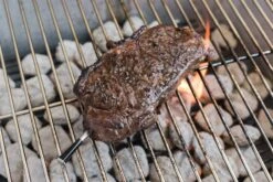 Meater Bluetooth Und WLAN Grillthermometer