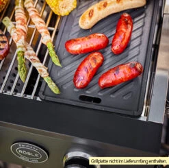 Rösle Gasgrill Videro Pro G2-P Campinggrill 10 Rösle Gasgrill Videro Pro G2-P Campinggrill -Angebote Grillgarten Store Roesle Videro PRO G2 P Gasgrill Beispiel mit Grillplatte