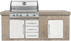 Napoleon LEX 605 Edelstahl Einbaugrill Gas - Modell 2023 -Angebote Grillgarten Store napoleon lex605 einbaugrill monatgebeispiel