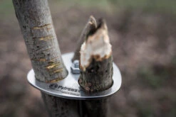 Petromax Dreibein-Ring -Angebote Grillgarten Store petromax dreibeinring detail d ring