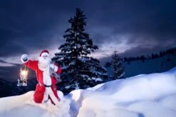 Petromax Petroleumlampe HK500/829 Chrom -Angebote Grillgarten Store petromax starklichtlampe hk500 px5c 20